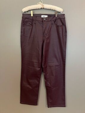 edge Burgundy Coated Skinny Pants